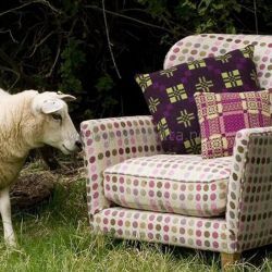 Puter fra Melin Tregwynt