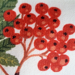 Putetrekk - Skogsliv - detalj Rognebaer